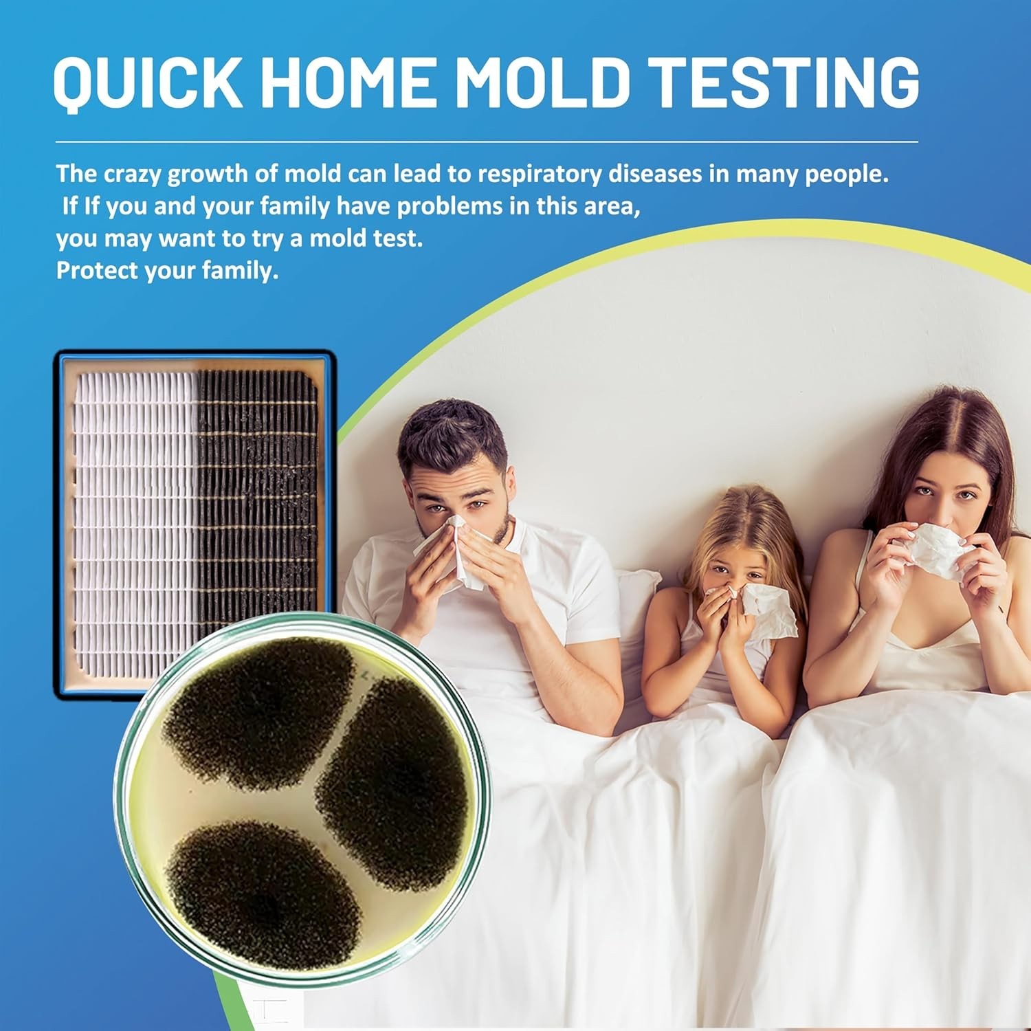 Mold Kit with Comprehensive Guide & Fast Results: Protect Your Home Today