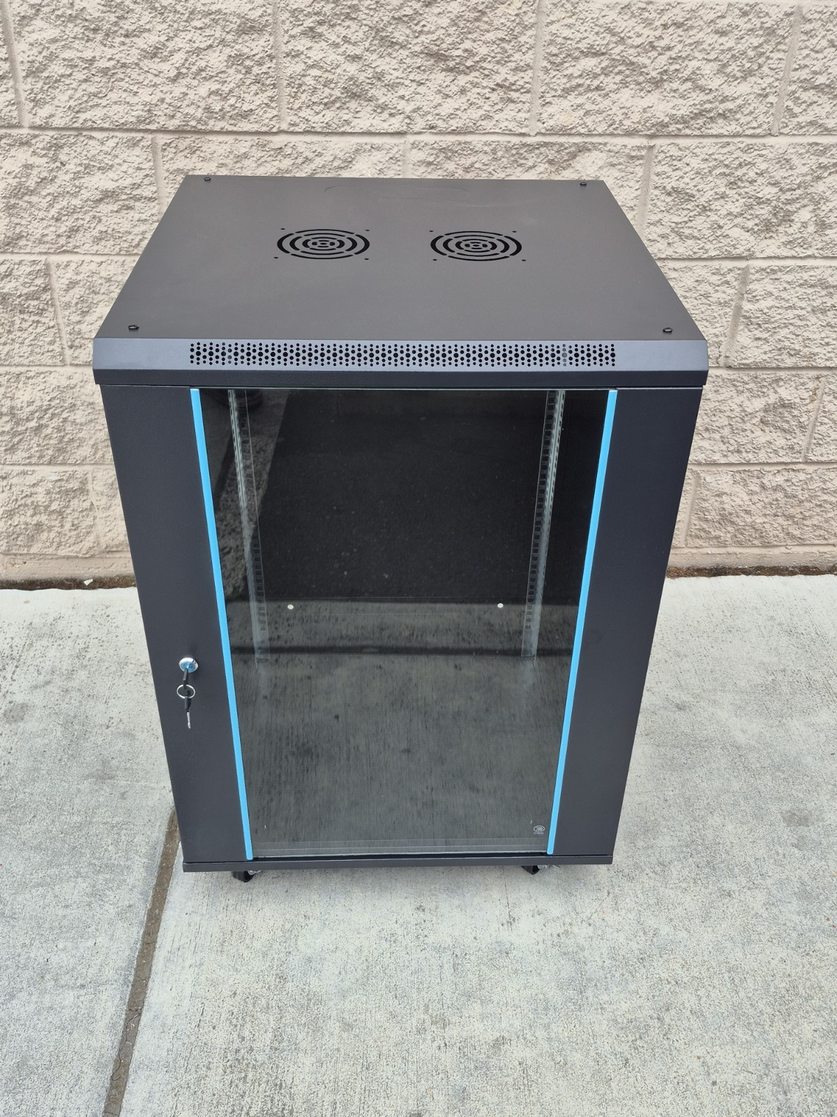15U 19" 24" Deep Server/Networking Wall Mount Cabinet W/Shelf And Casters
