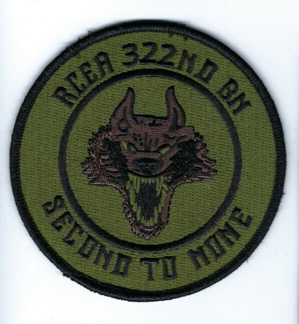 RCEA Riverside Co. Education Acad 322nd Battalion VETERAN MILITARY SUBDUED patch
