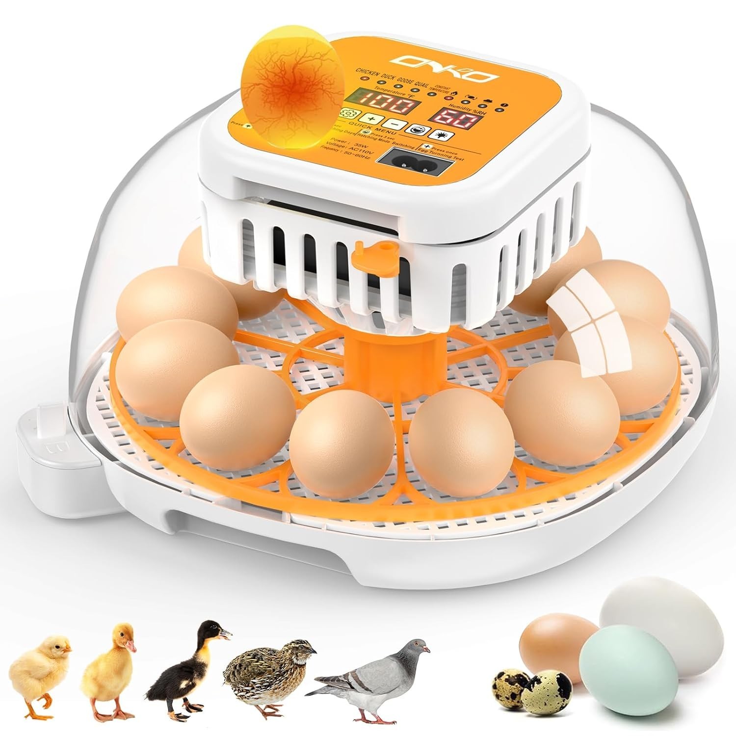 12 Egg Incubator with Automatic Turning, Humidity Control, 360° Clear View