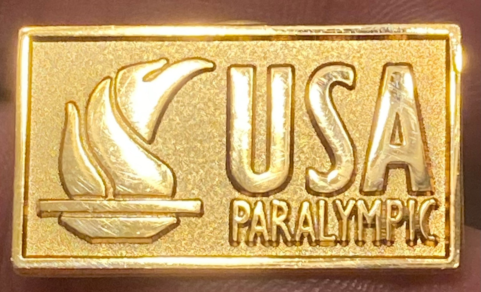 Team USA Gold Olympic Paralympics Pin - Very Rare - 1 1/4" x 5/8"