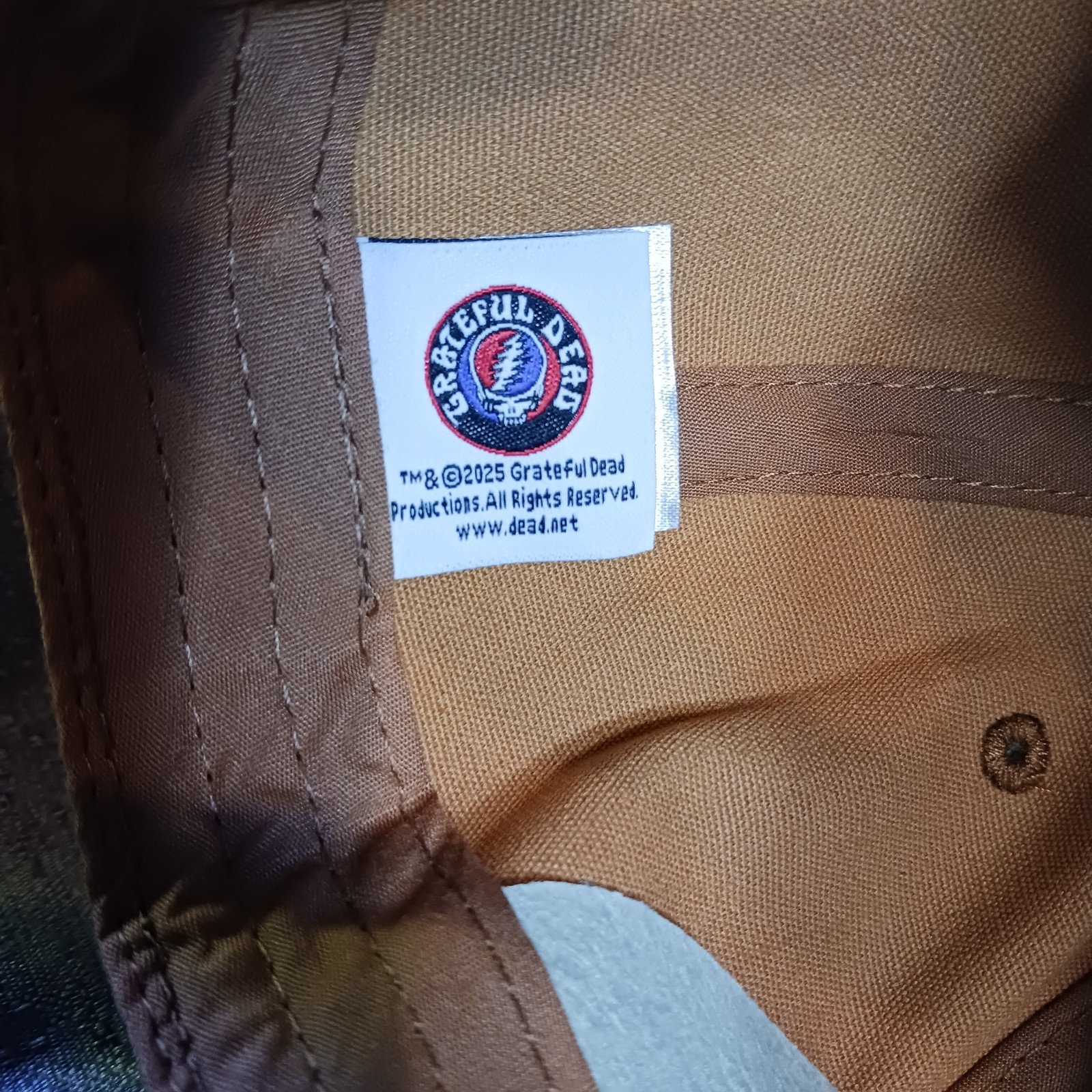 Grateful Dead Dancing Bears Brown Blue Snapback Hat Original