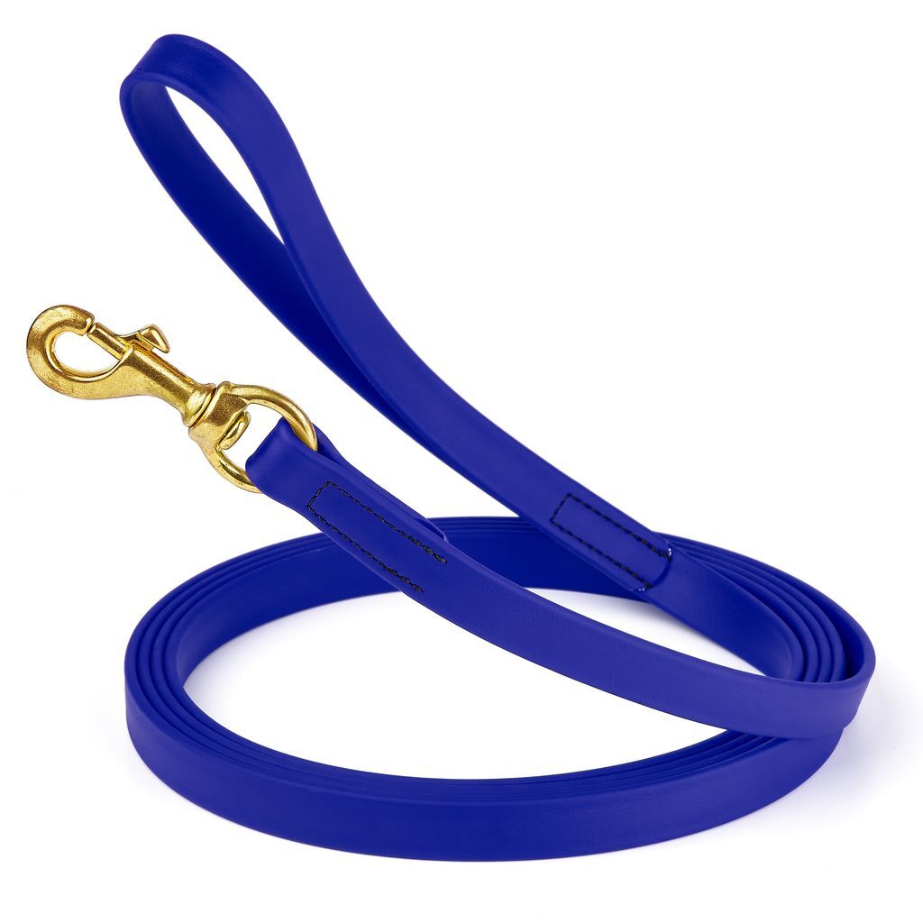 Dog Pet Leash Blueberry Royal w/ Brass Hardware W 3/4" - L10'