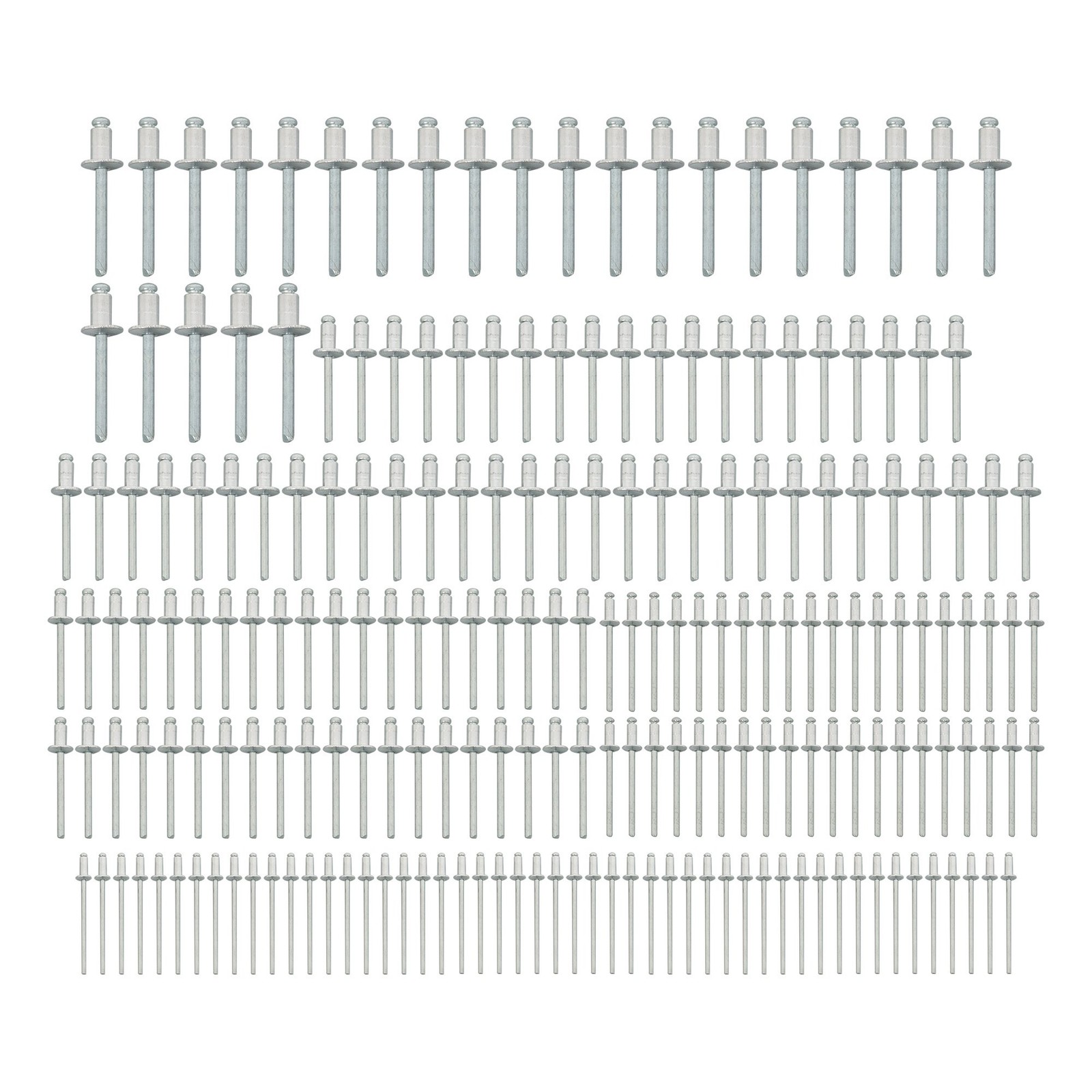 1/4 Pop Rivet Gun Kit with 200 Blind Rivet 5 Interchangeable Rivet Head