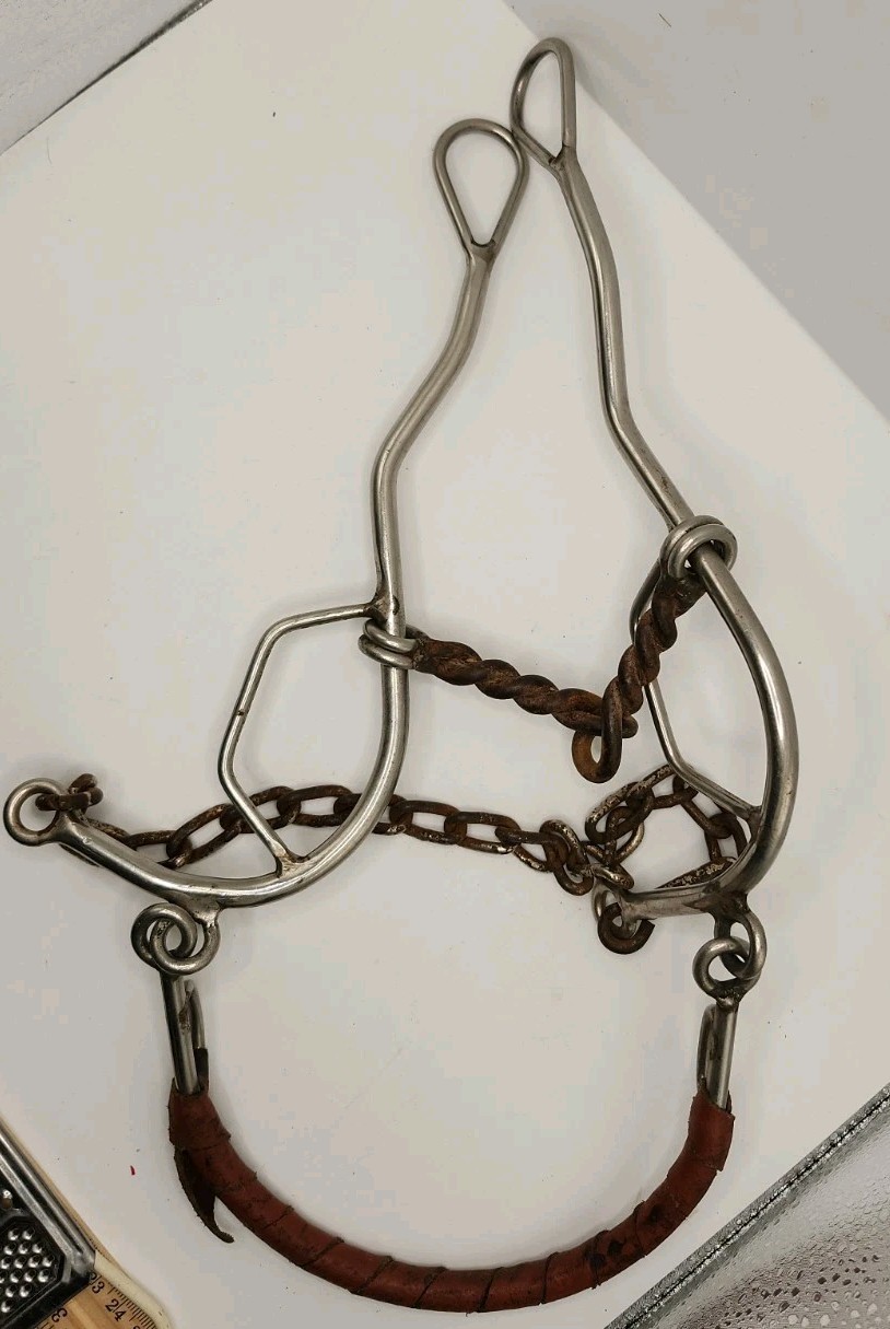 Combination Bit w/ Chain Mouthpiece  & A Leather Wrapped Noseband