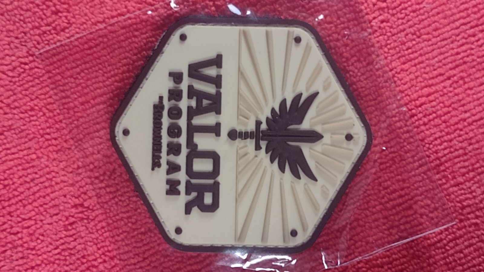 VALOR PROGRAM SHOT-SHOW 2026 BROWNELLS Hexagonal Patch PVC H&L NIP 2A