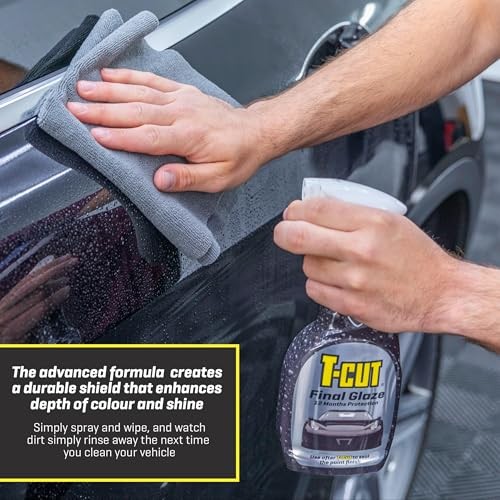 Final Glaze, Paint Sealant, 16.9 fl oz
