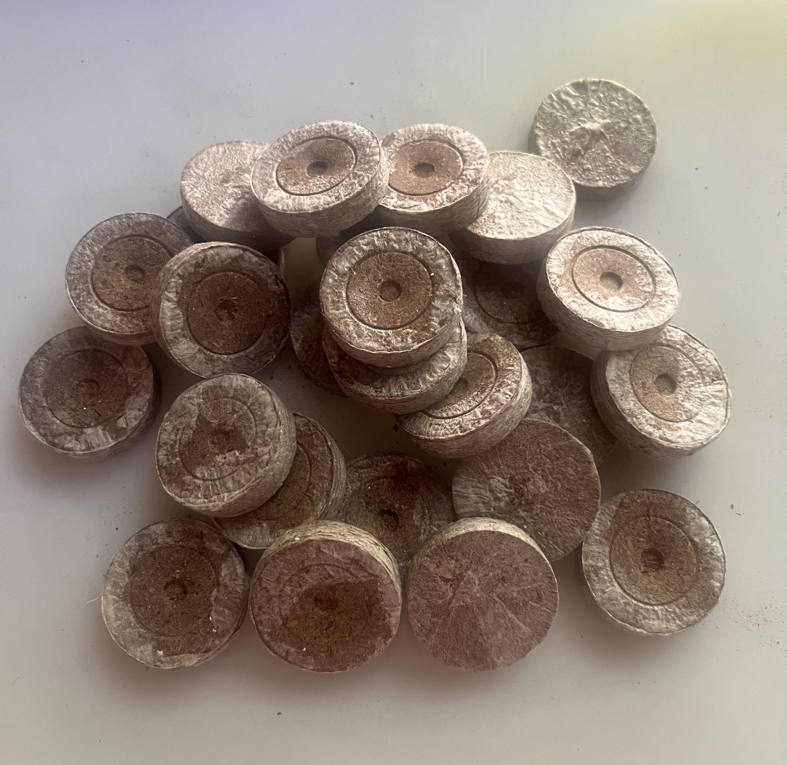Peat Pellets 36mm Seed Starting Plugs | 26 pc