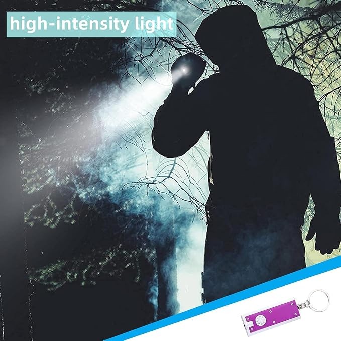 500PCS Mini Keychain Flashlight LED Light Bulk Small Flashlight for Outdoor