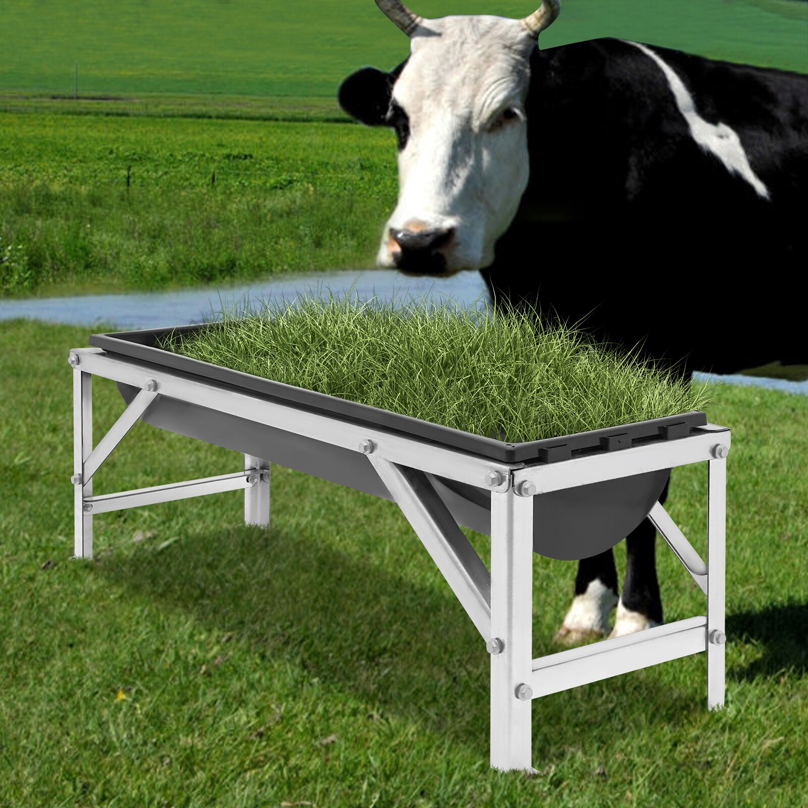 Rectangular Livestock Feed Trough Feeder Feed Trough w/Stand Floor Standing 35L