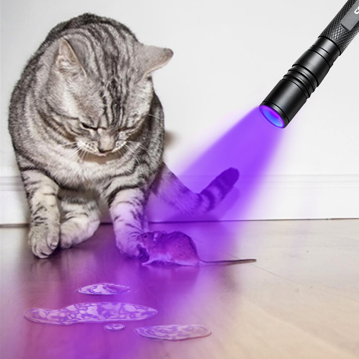 Zoomable 395nm UV Light Penlight Scalable Clip Blacklight Flashlight Torch