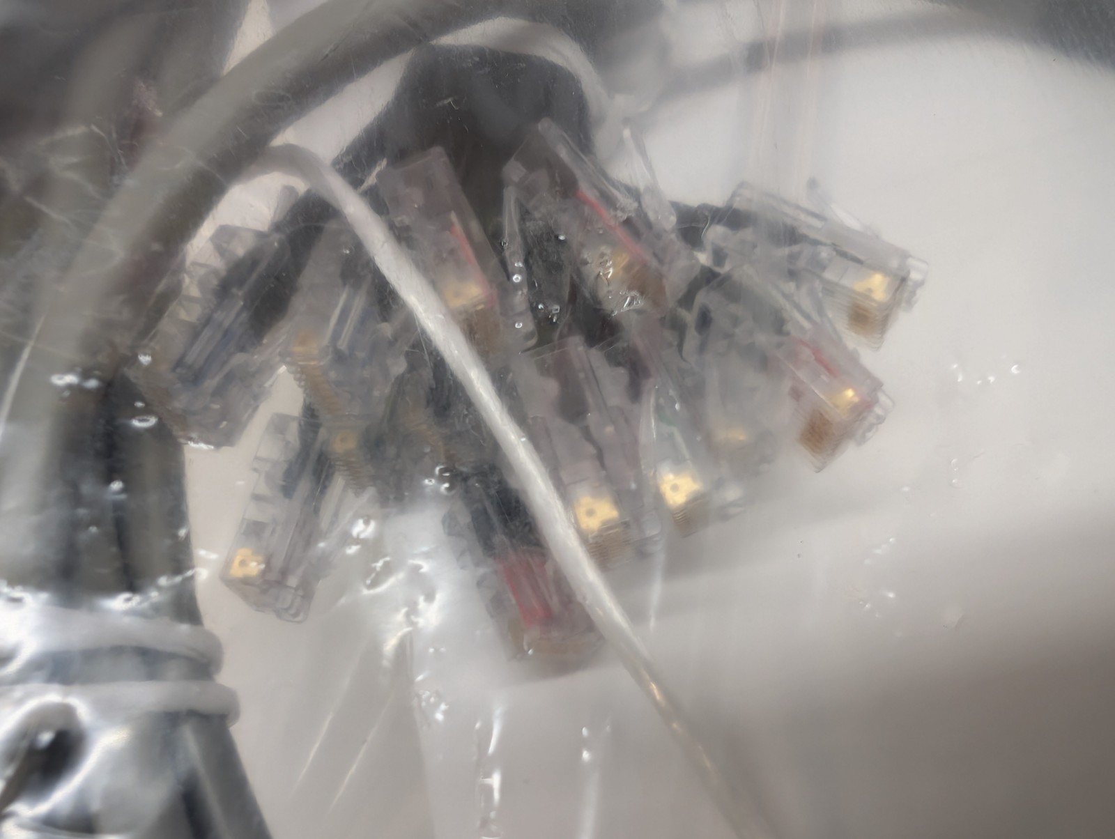 1 Unit - 2x Centronics to 16x RJ-45 Breakout Cable Telecom 202F5A