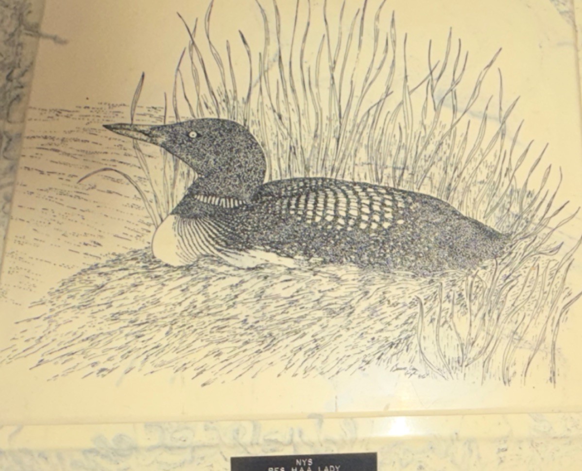 Vintage Loon Etched Drawing on Marble Signed 1986