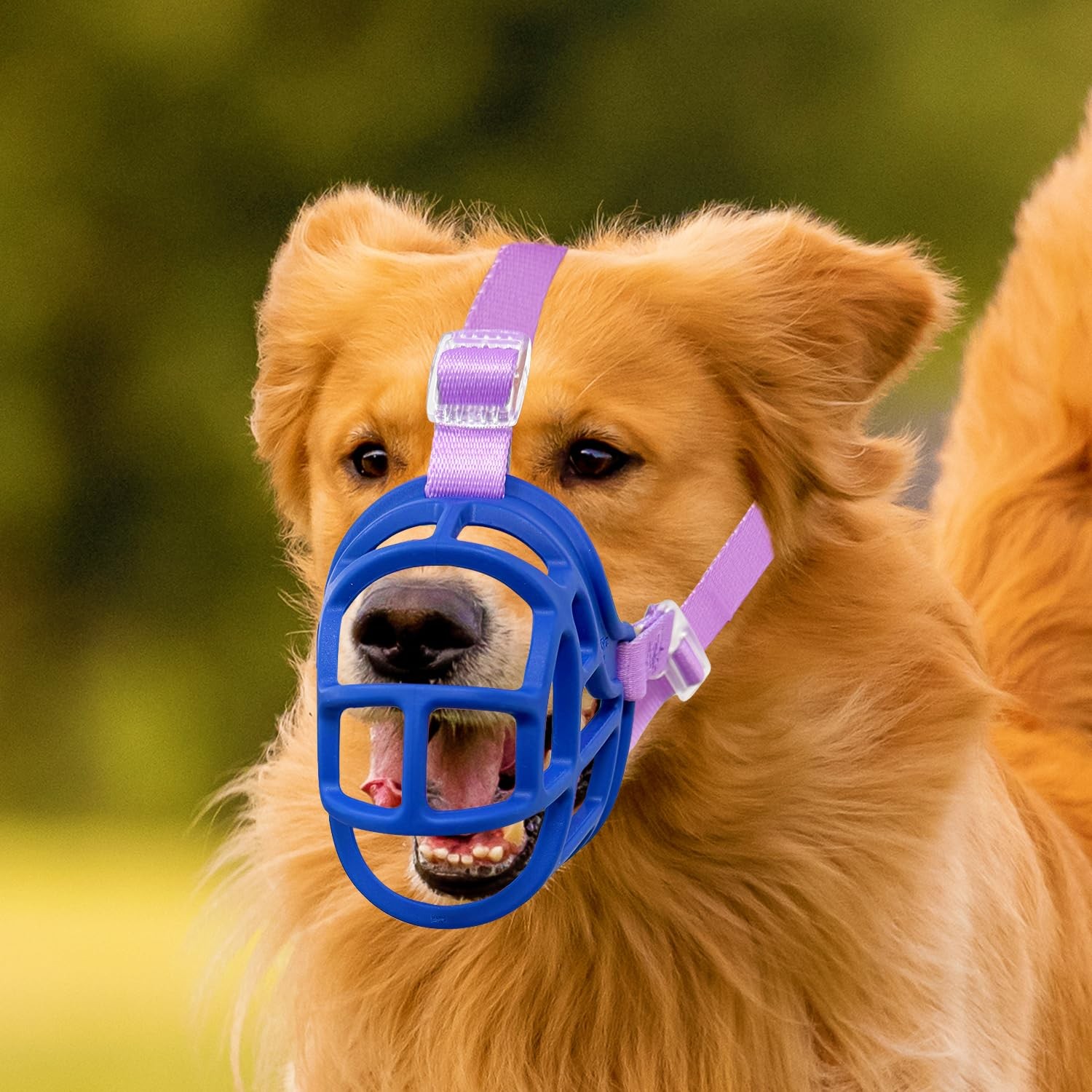 Dog Basket Muzzle for Anti Biting & Chewing, Lightweight Cage Design Allows P...