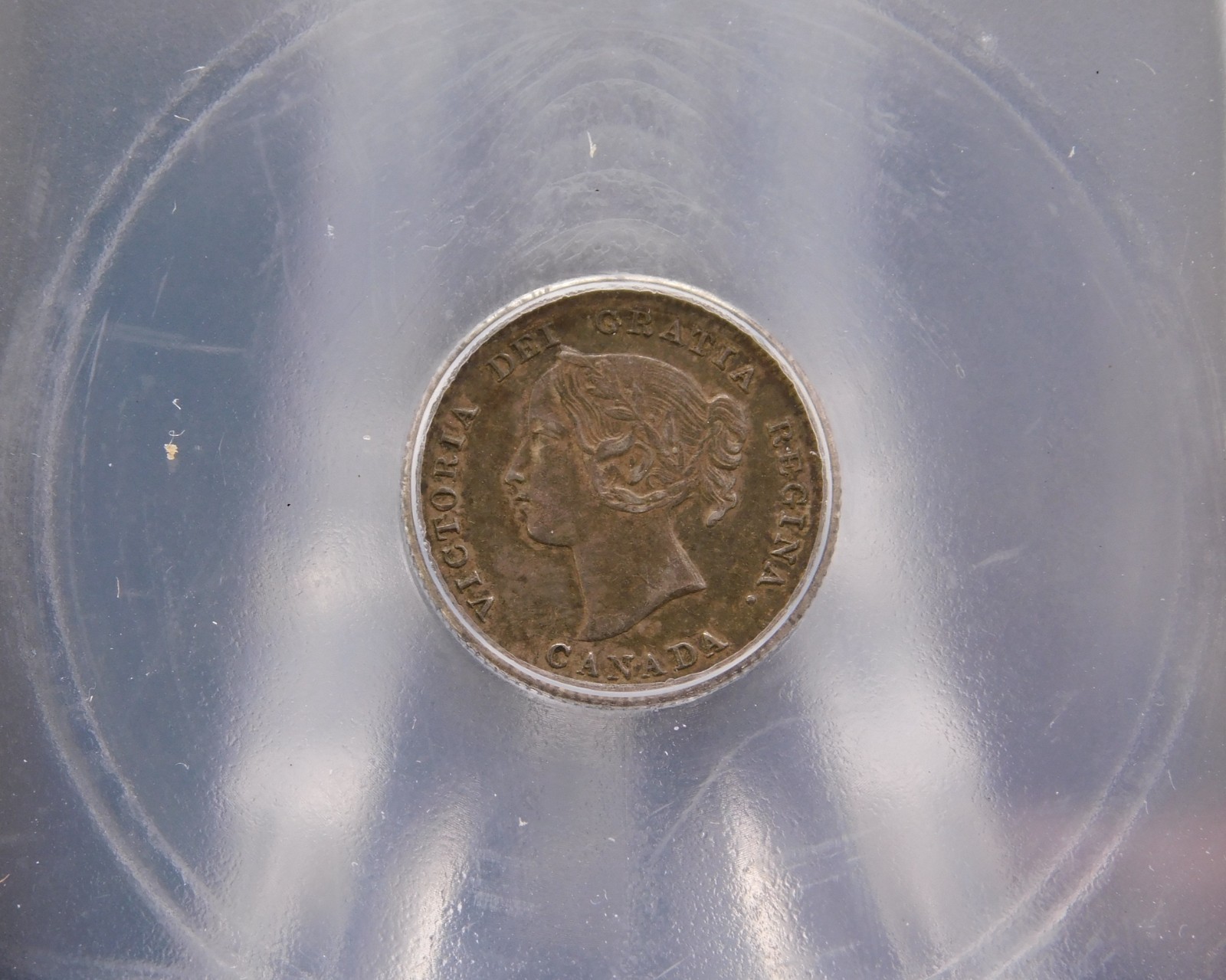 1901 CANADA FIVE CENT ICG AU53 (BT1254)