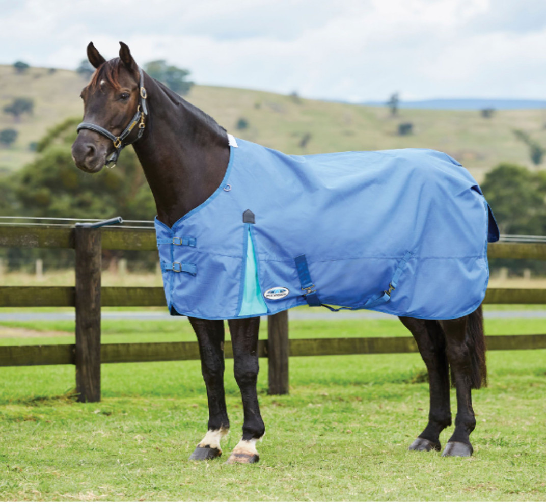 Weatherbeeta Comfitec Classic Std Neck Turnout Blanket 220g 72" Deft Blue/Mint