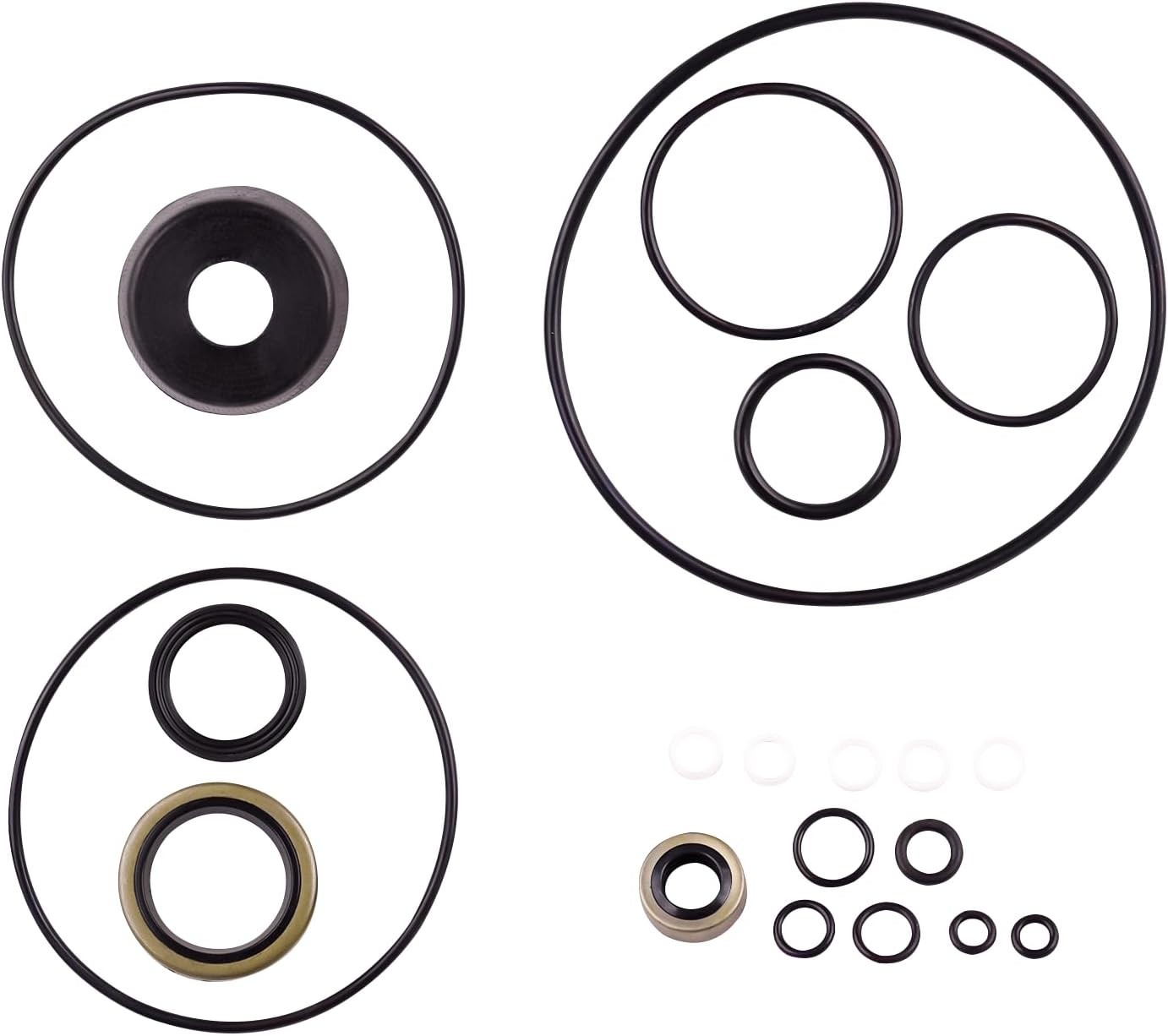 15707 Plow Pump Basic Seal Kit For Meyer E50,E50H,E60,E60H,E61H & V66 Pumps
