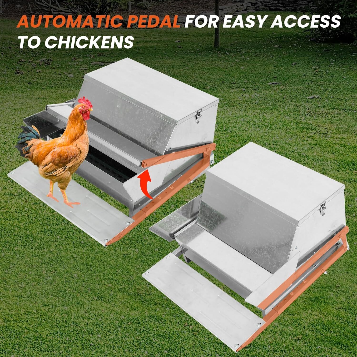 20 lb Automatic Chicken Treadle Feeder Galvanized Steel 6-12 Poultry Feeder