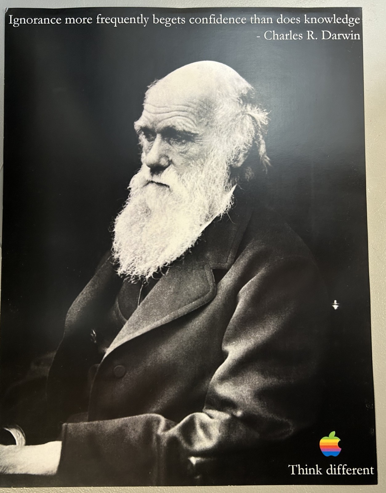 Apple Think Different  Poster Charles Darwin  – 16" x 12"