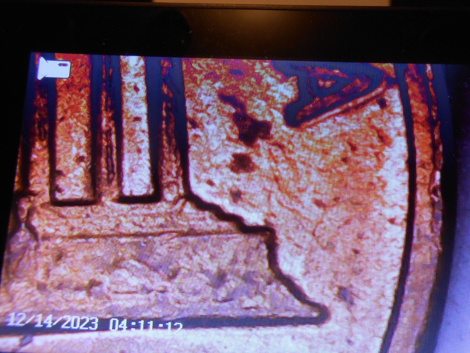 1969 d lincoln cent floating roof and errors