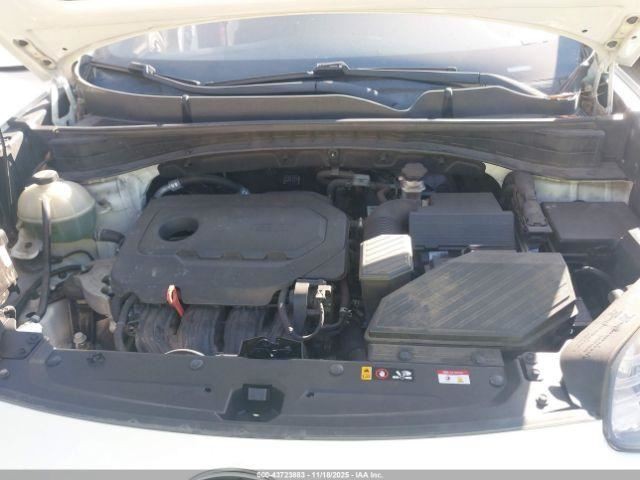 SPORTAGE  2019 Glove Box 4923934