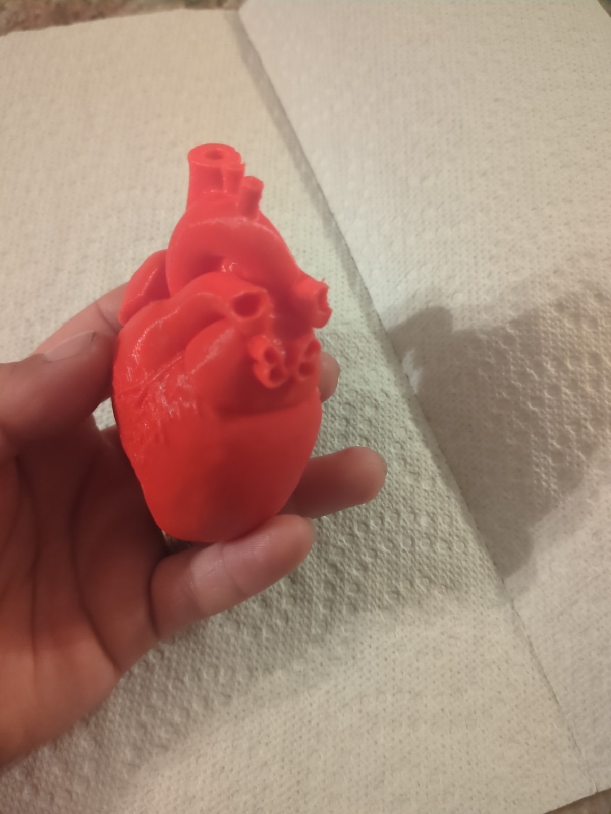 3D Printed Human Heart Model | Human Anatomy-Circulatory System