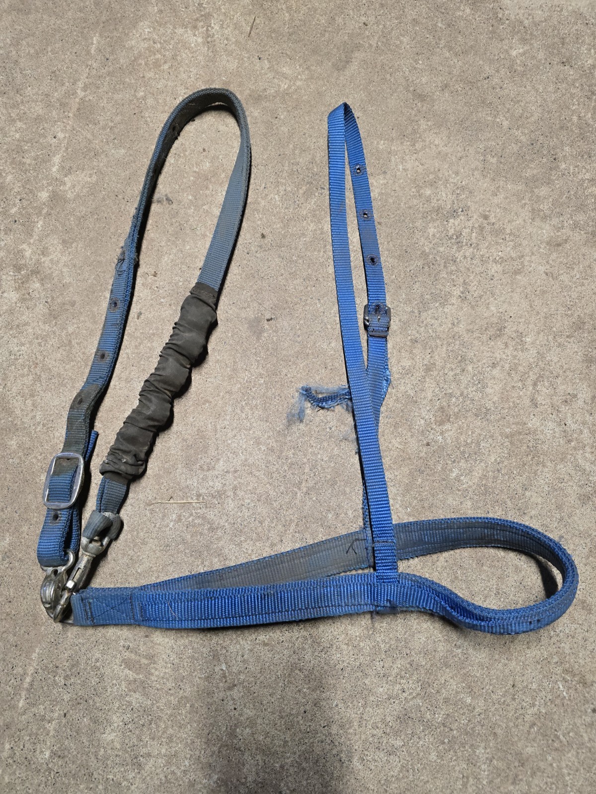 Blue Nylon Horse Sized Tie Down Used