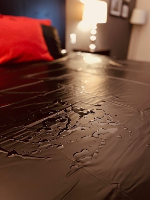 100 x 92 inches Waterproof Bed Sheet Wet Games, Massage Mattress Protector Cover