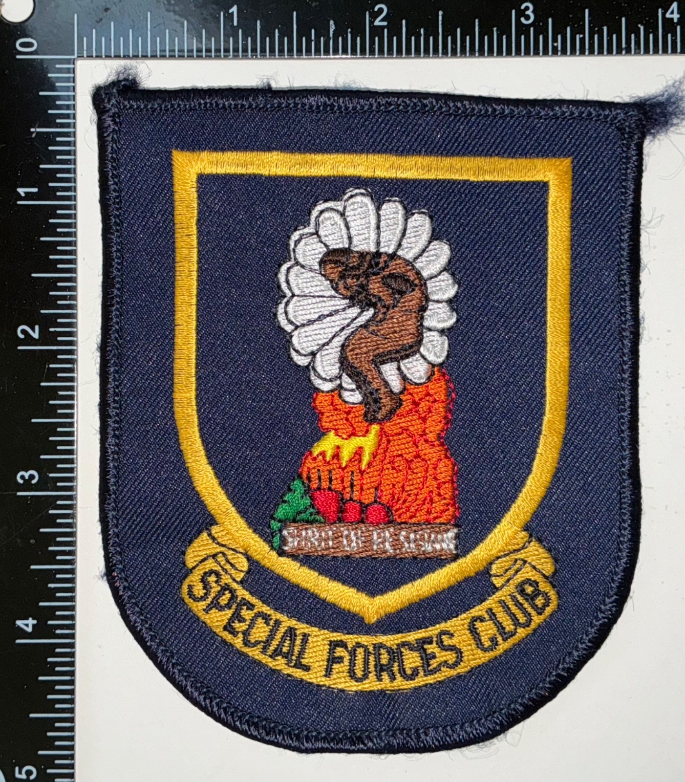 US Army Special Forces Parachute Club Patch