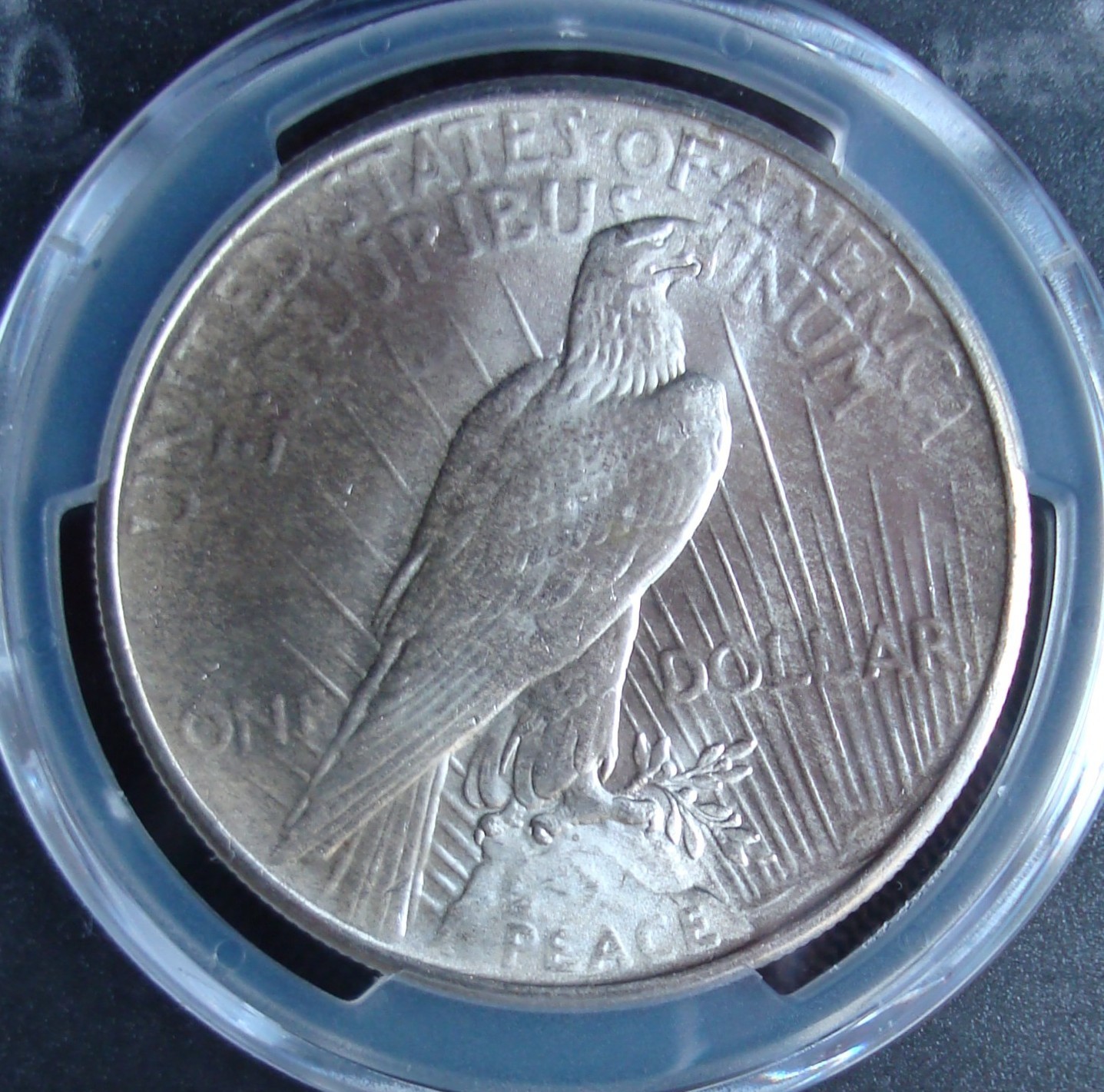 1925 Peace Silver Dollar - PCGS MS 67 - Gold Shield