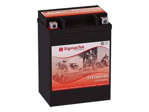 Polaris 600CC IQ Touring, 2008 Snowmobile Battery (Replacement)