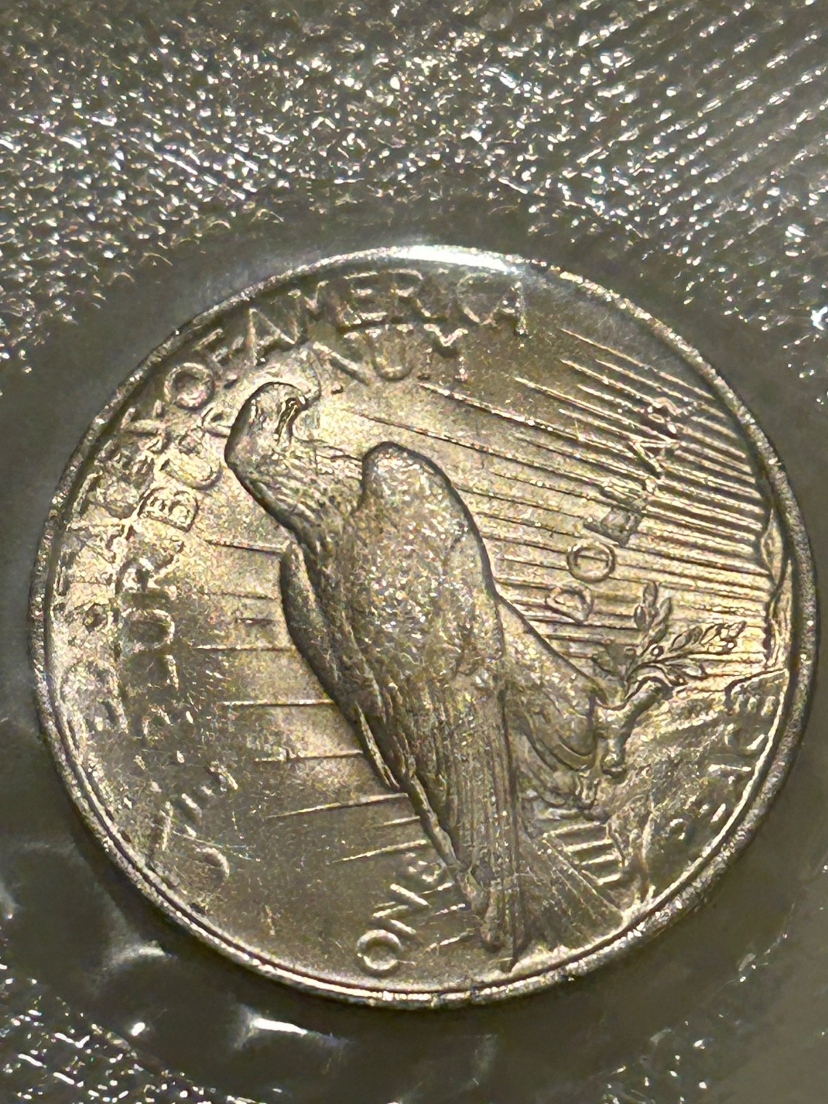 1923 P Peace Silver Dollar PCGS MS63 Original GSA Softpack Encapsulated