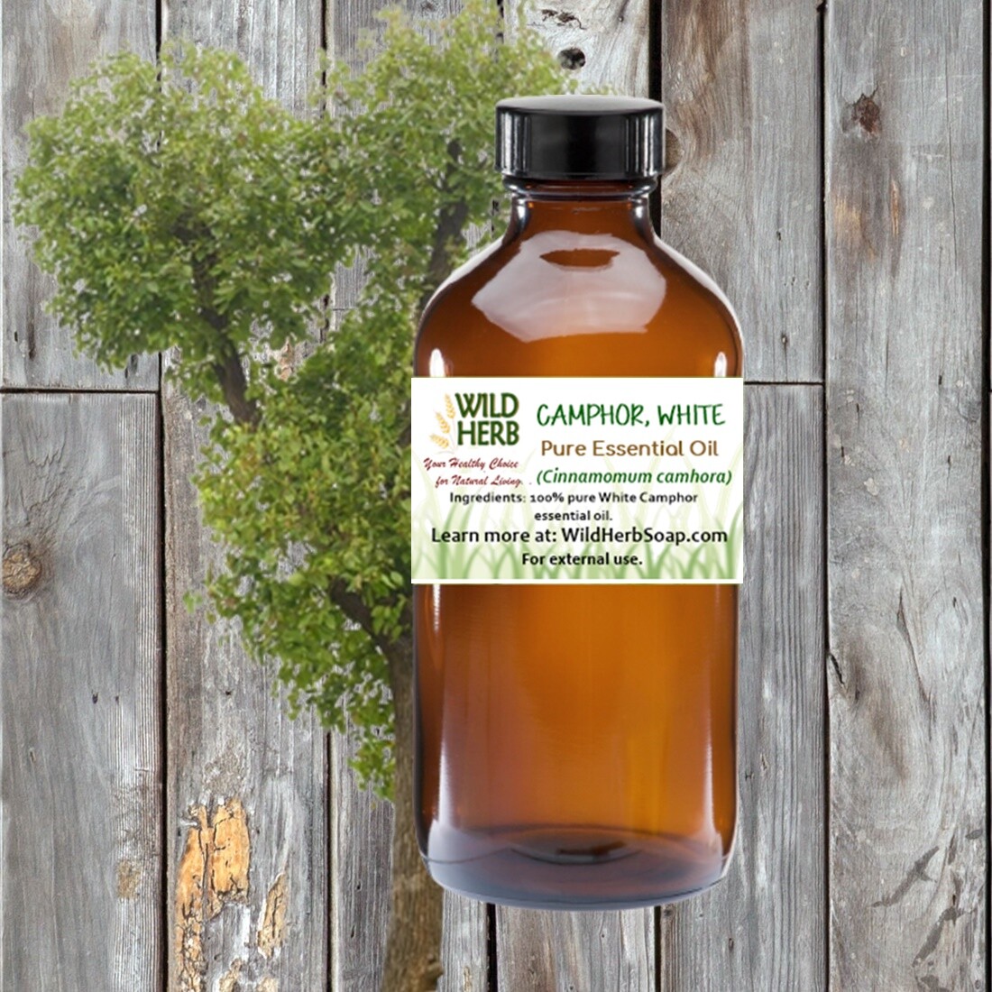 ORGANIC CAMPHOR (WHITE) PURE ESSENTIAL OIL | .5 to 64 oz | Wholesale Price | USA