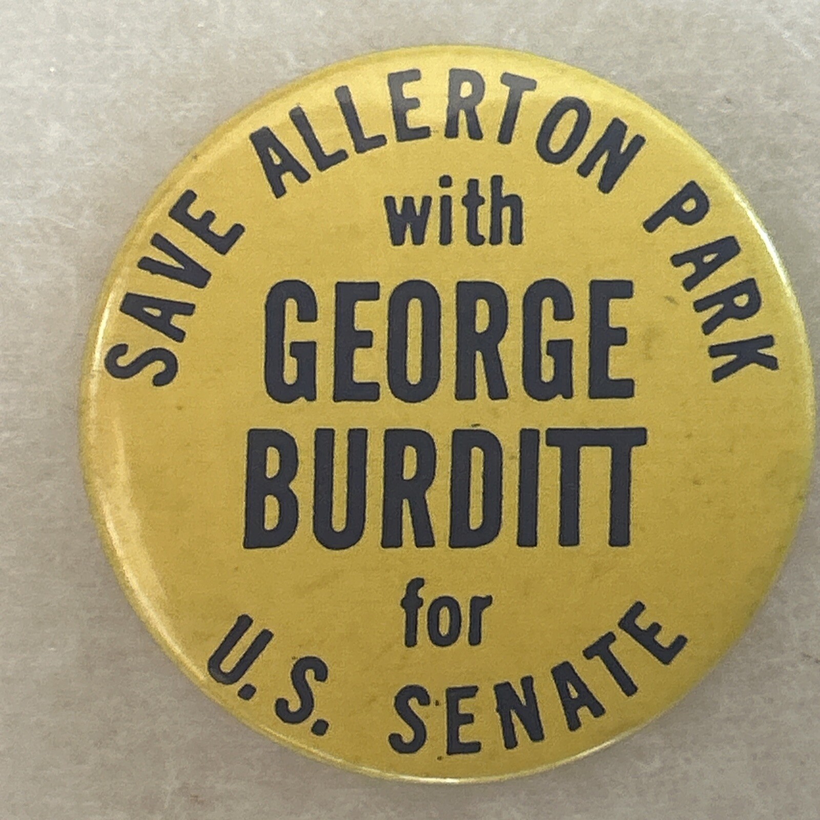 Save Allerton Park with George Bursitis for U.S. Senate  Illinois 2” pinback pin