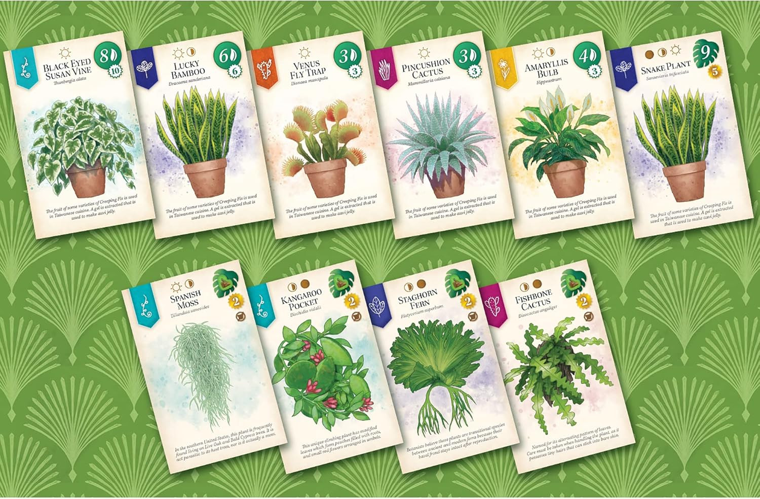 & Flatout Games | Verdant - a Board Game for the Houseplant Collector | from the