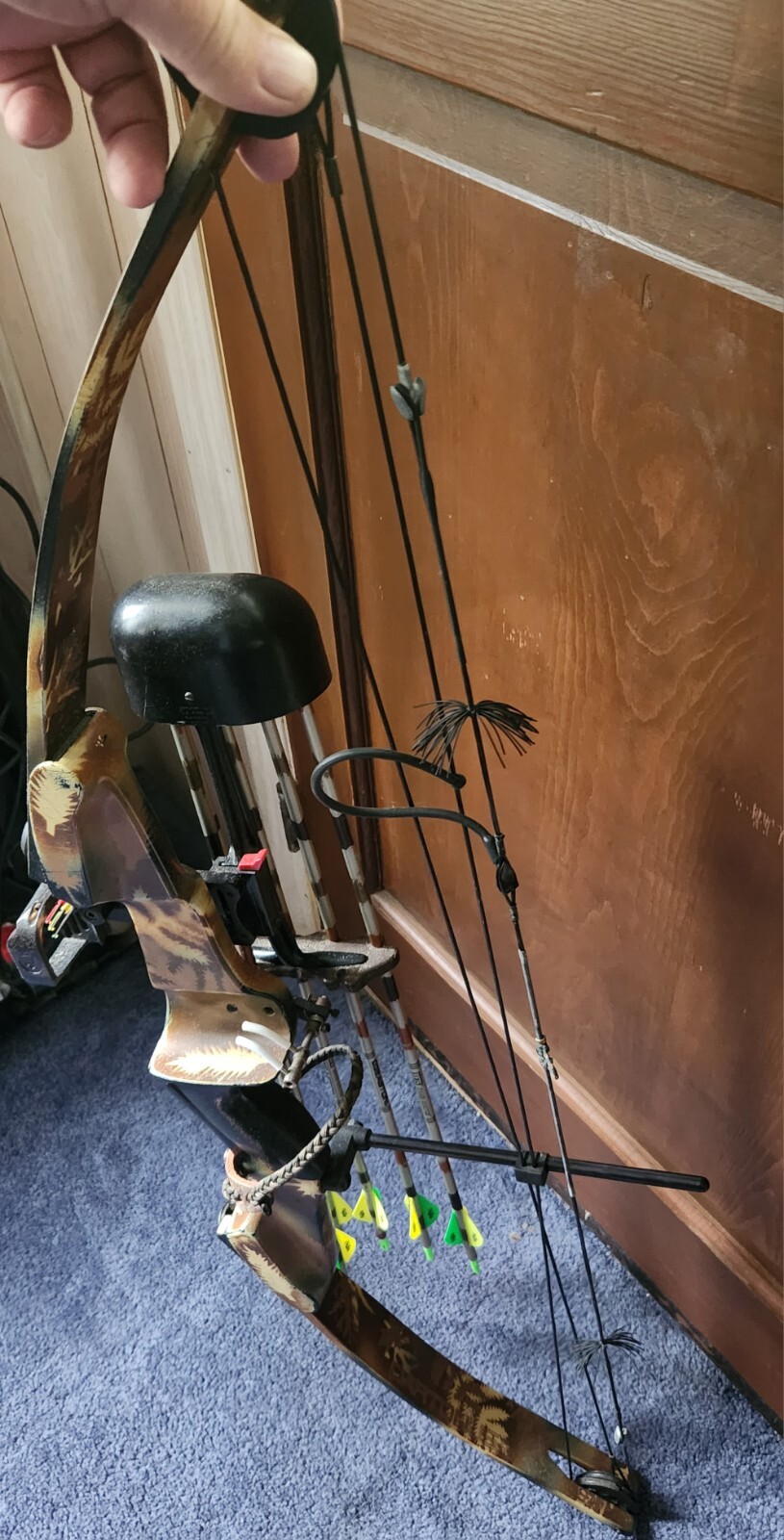 darton compound bow