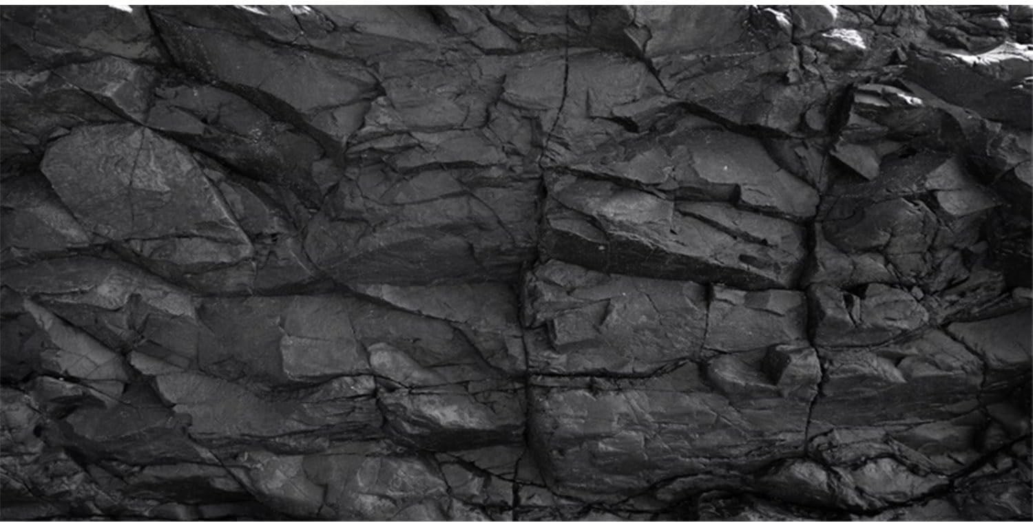 AWERT 48x24 inches Stone Aquarium Background Black Rock Fish 48x24in/120x60cm