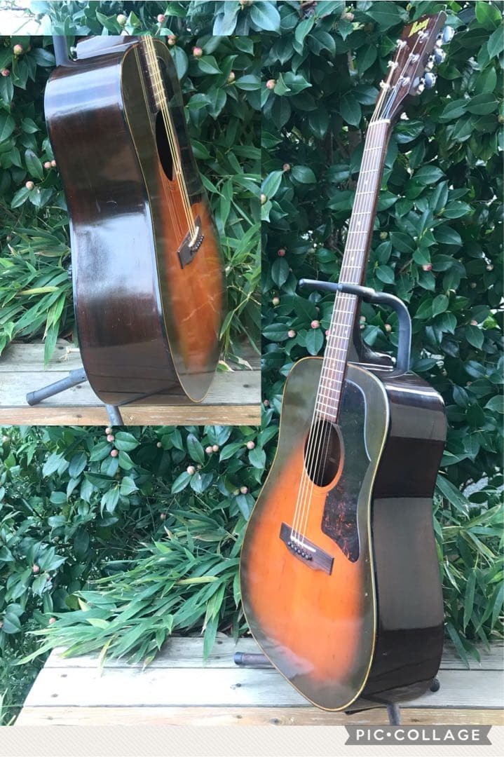 Burny BJ-50 Guitar