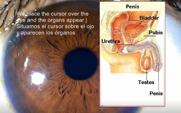5.0MP USB Iris Analysis Camera Eyes Analyzer Iridology English/Spanish Software