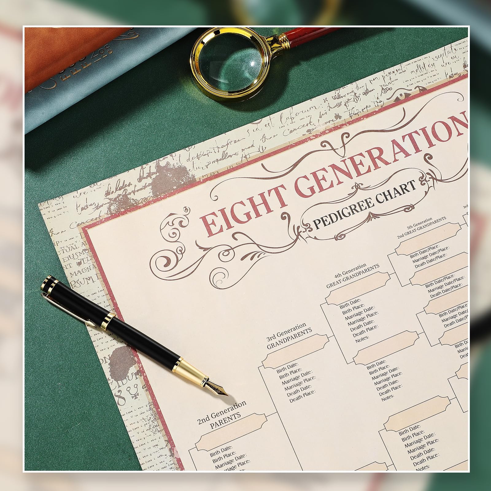 Genealogy Family Tree Charts 8 Generation 30 Pack