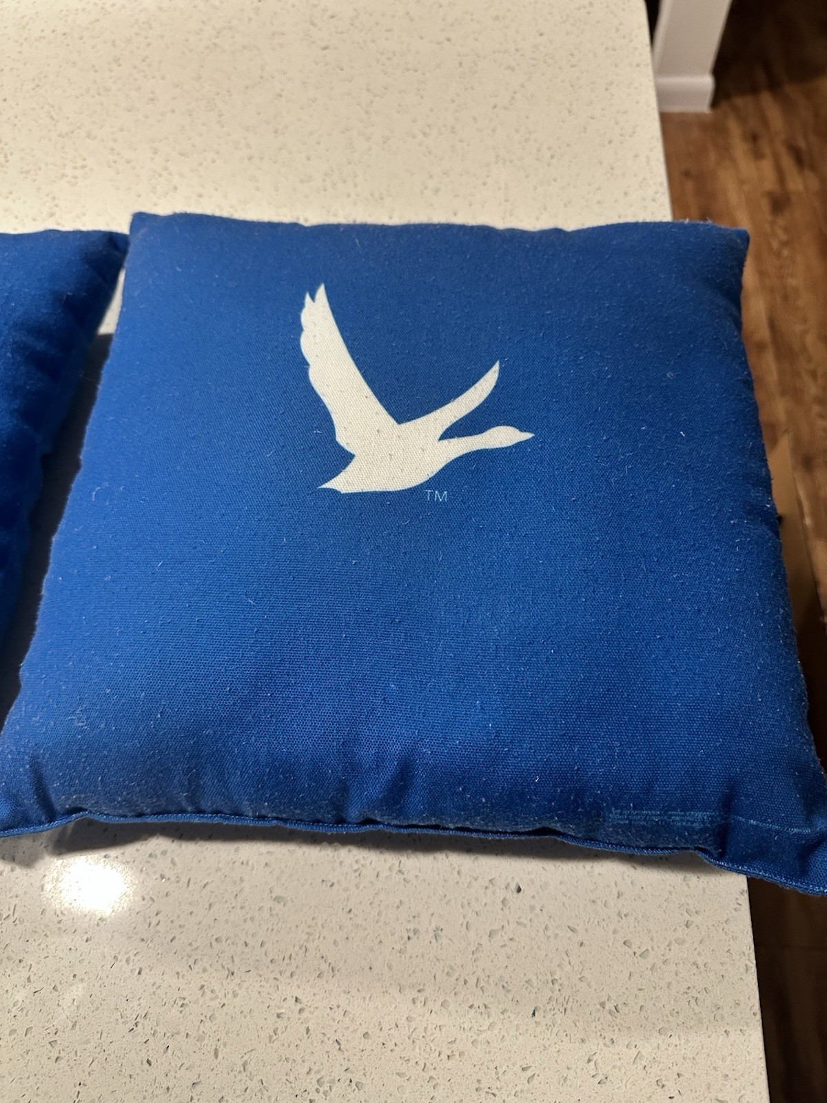 GREY GOOSE VODKA OUTDOOR PILLOWS