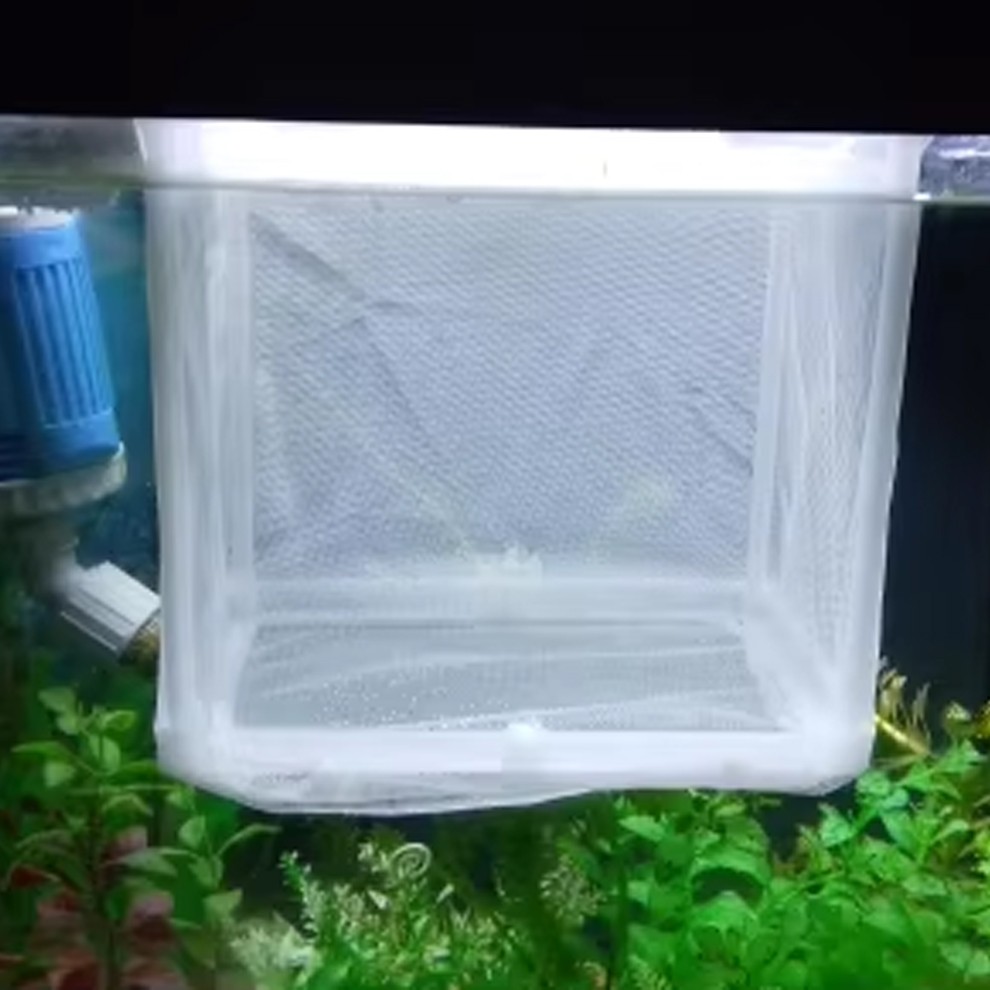 Fish Breeder Box Aquarium Hatcher Incubator Mesh Box Juvenile Fish Separation