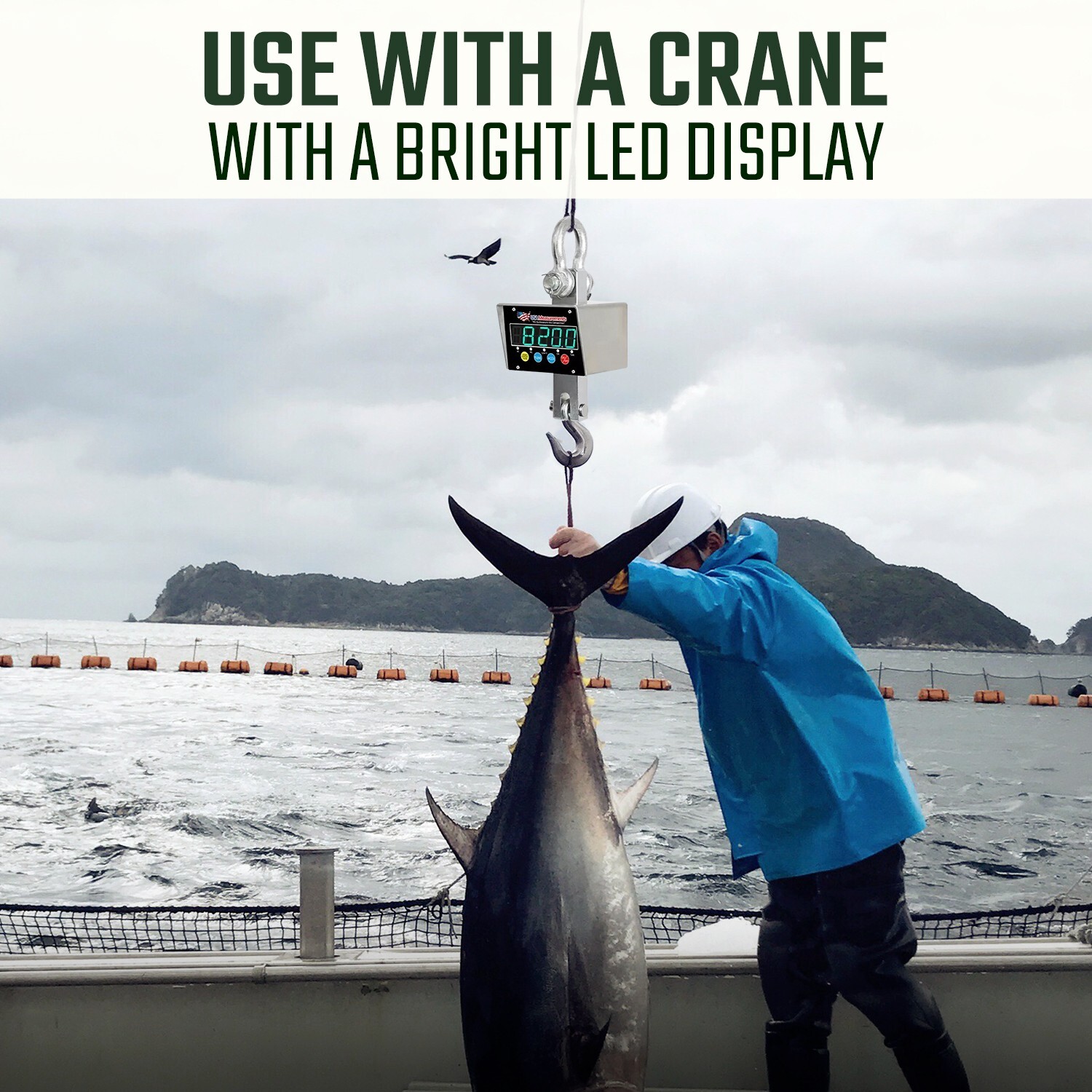 Stainless Steel 10,000 lb Crane Scale Wireless with Android App & Certificate