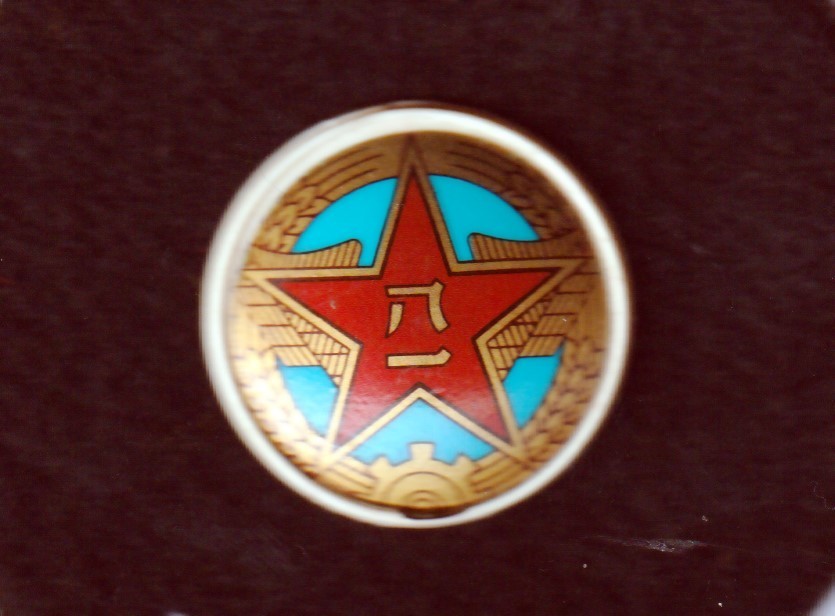 China Air Force PLAAF cap badge type 2005 insignia