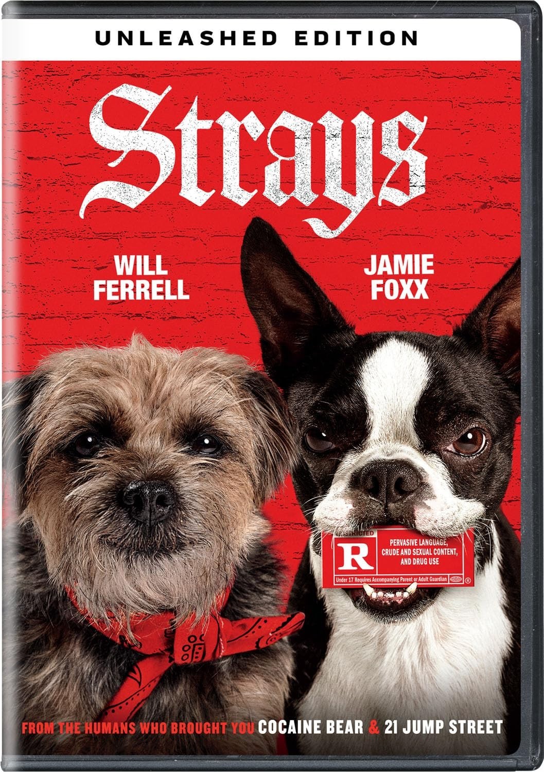 Strays (DVD, 2023) The Disc Only Rdbx S1965
