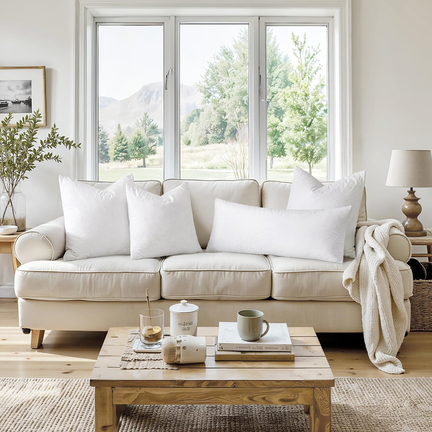 Pillow Inserts 18X18 (Pack of 4,White), down Feather Throw Pillow Inserts, Pr...