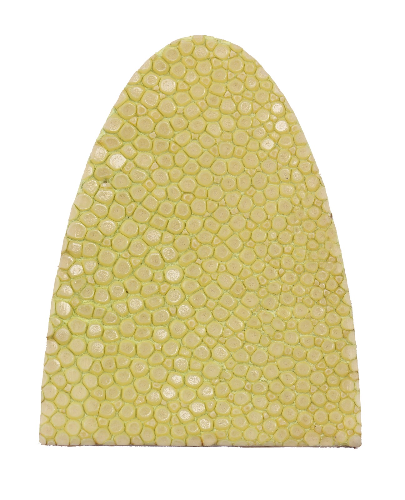 Ray Leather Arrow Rest - Stingray Prime Citronelle NF0026 Gift Decoration Trend