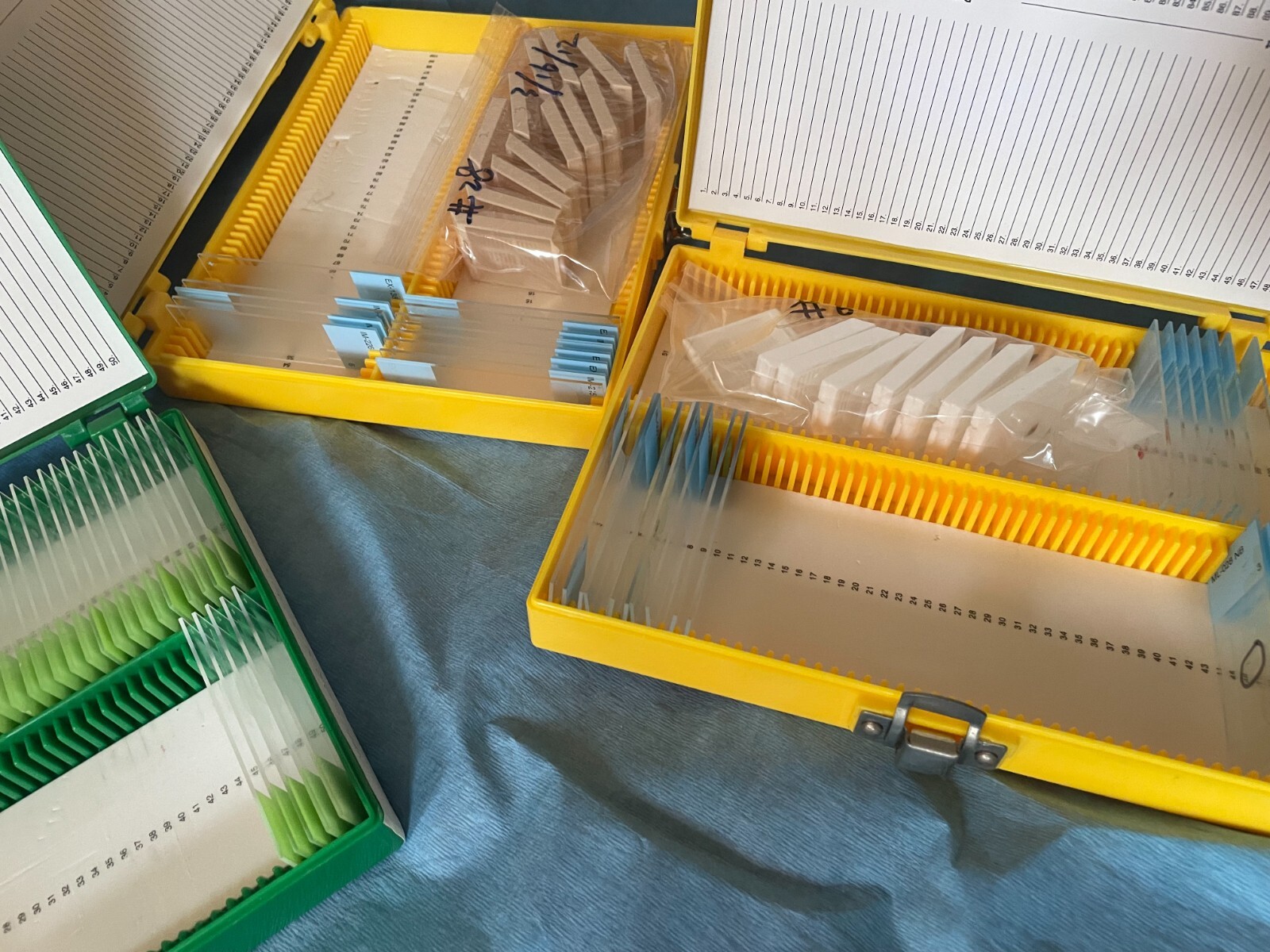 Four Microscope storage boxes with mouse tissues slides, 10,11,12,13