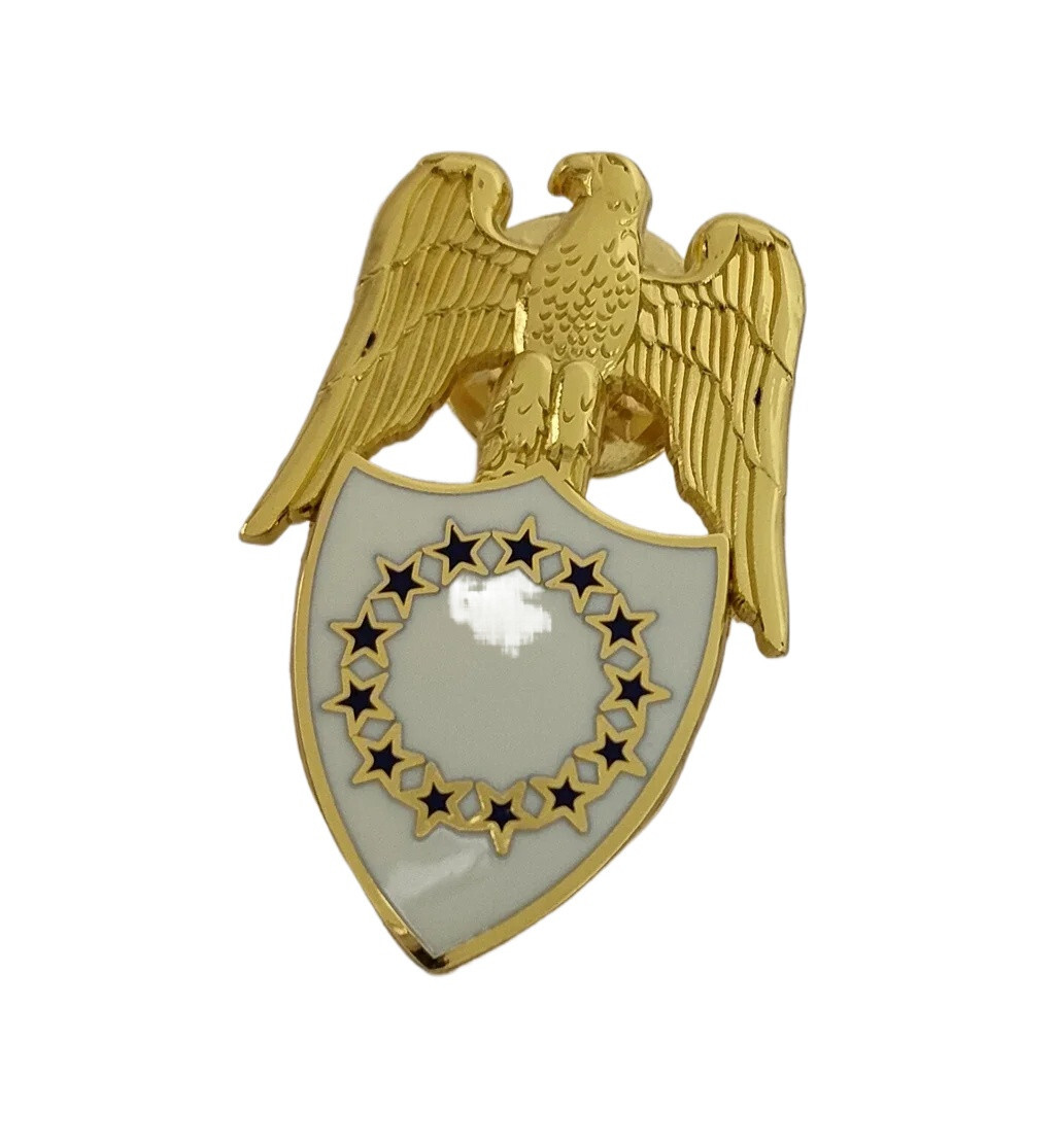 US ARMY AIDE TO VICE PRESIDENT AIDE COLLAR INSIGNIA DRESS LAPEL BADGE PIN