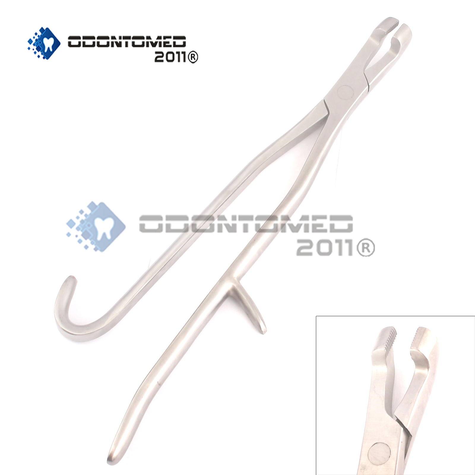 Extractor Forceps Lower 16'' Hand Crafted,StainlessSteel,Dental,Equine,ODM-V0012